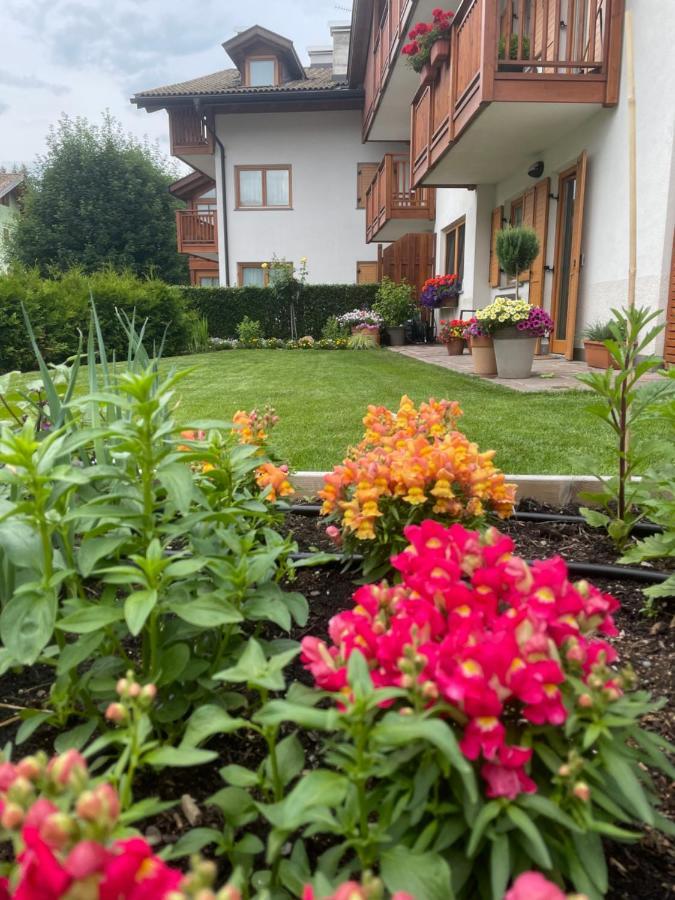 Casa Beba - Agenzia Dolomiti Affitti Lägenhet Cavalese Exteriör bild